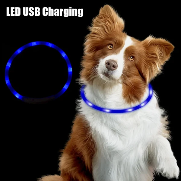 Night Safety Flashing Glow Collar Night Luminous Charge Collar Led Usb Dog Collar Pet Accessories Dog Accessories - Image 2