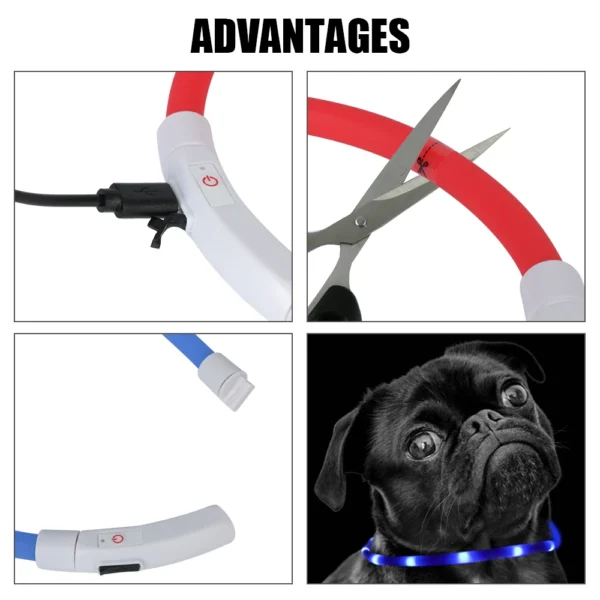 Night Safety Flashing Glow Collar Night Luminous Charge Collar Led Usb Dog Collar Pet Accessories Dog Accessories - Image 6