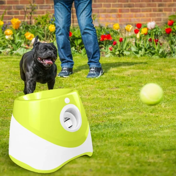 Catapult For Dogs Ball Launcher Dog Toy Tennis Ball Launcher Jumping Ball Pitbull Toys Tennis Ball Machine Automatic Throw Pet - Image 4