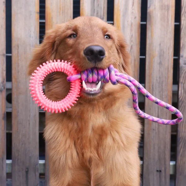 Supet Interactive Training Pet Toy Ring Spiked Ring Dog Teeth Cleaning Pet Supplies - Image 3